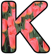 Dekobuchstaben-Tulpe_K.jpg